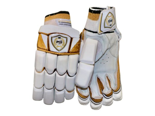 TEST SERIES BATTING GLOVES
