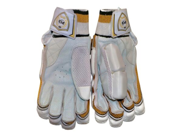 TEST SERIES BATTING GLOVES - Image 2