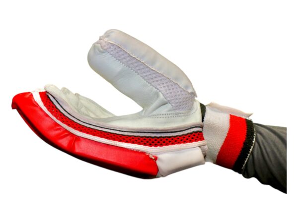 CLUB LITE BATTING GLOVE - Image 3