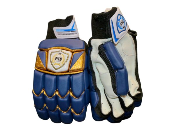 TEST SERIES BATTING GLOVES - Image 7