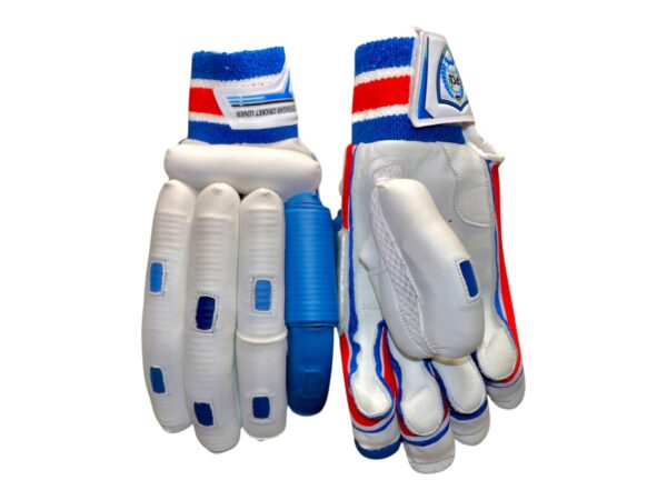 VK EDITION BATTING GLOVE