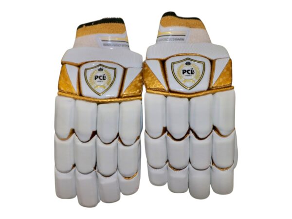 TEST SERIES BATTING GLOVES - Image 3