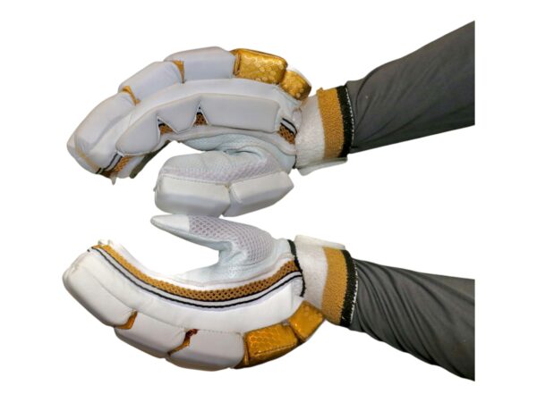 TEST SERIES BATTING GLOVES - Image 4