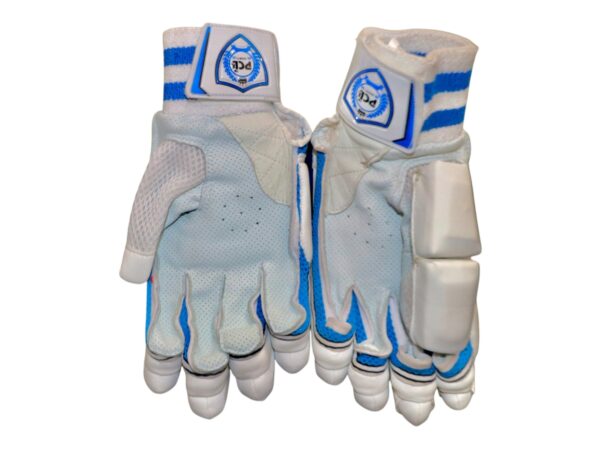 SAUSAGE TEST BATTING GLOVE - Image 2