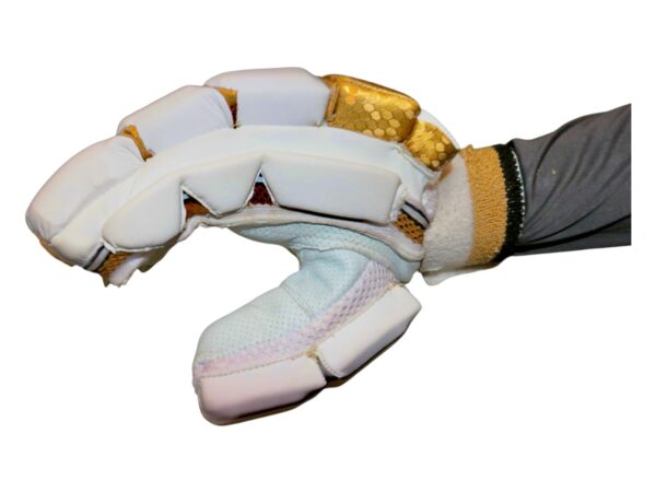 TEST SERIES BATTING GLOVES - Image 5