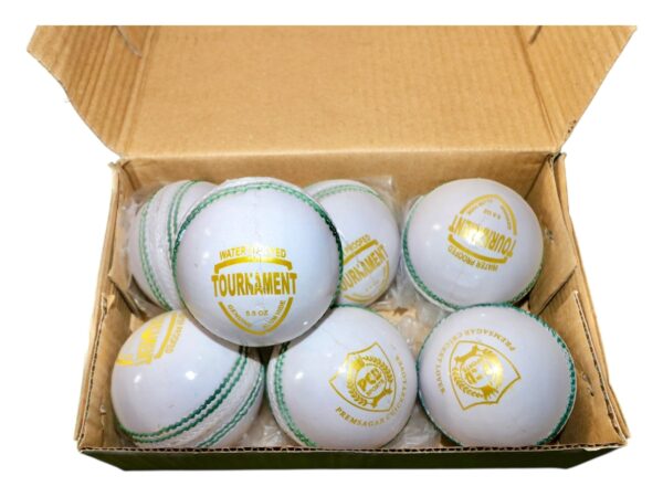 PCL TOURNAMENT BALL - Image 5