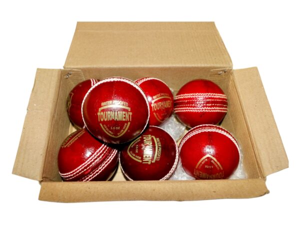PCL TOURNAMENT BALL - Image 3