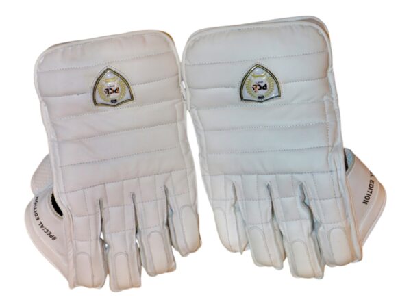 TEST LITE KEEPING GLOVES - Image 5