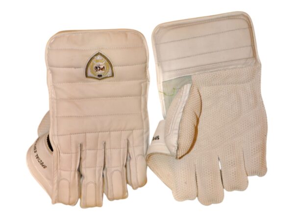 TEST LITE KEEPING GLOVES - Image 4
