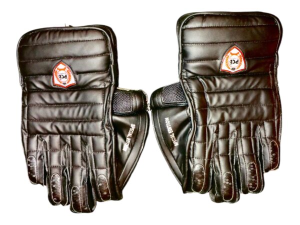 TEST LITE KEEPING GLOVES - Image 3
