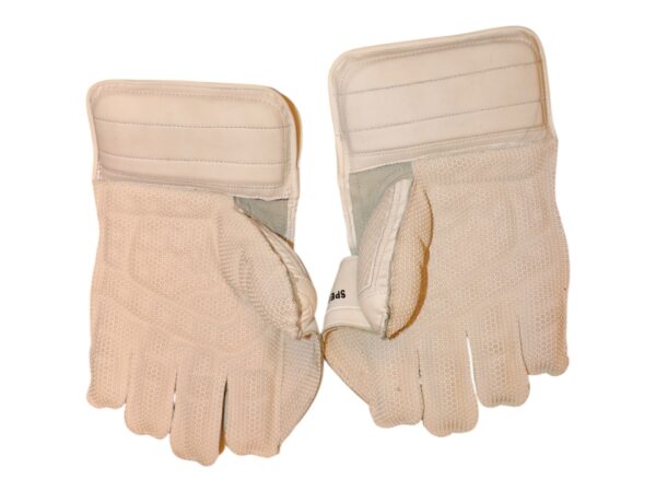 TEST LITE KEEPING GLOVES - Image 6