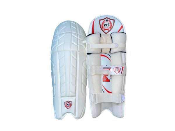 TEST DRAGON BATTING PAD