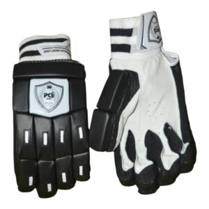 PROFESSIONAL 2.0 BATTING GLOVES