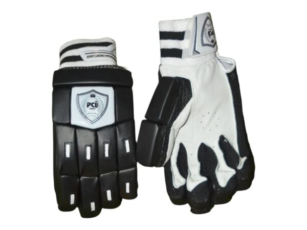 PROFESSIONAL 2.0 BATTING GLOVES - Image 2