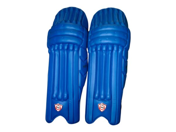TEST SERIES BATTING PAD - Image 6